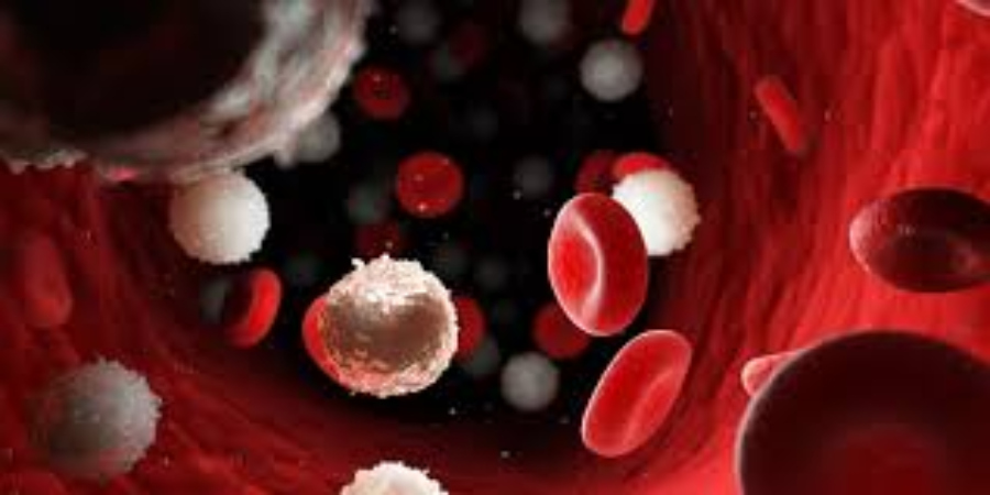 EAPM: Το αίμα είναι το βασικό έργο για τους καρκίνους του αίματος που απαιτείται σε σχέση με το επερχόμενο Ευρωπαϊκό Σχέδιο Καρκίνου